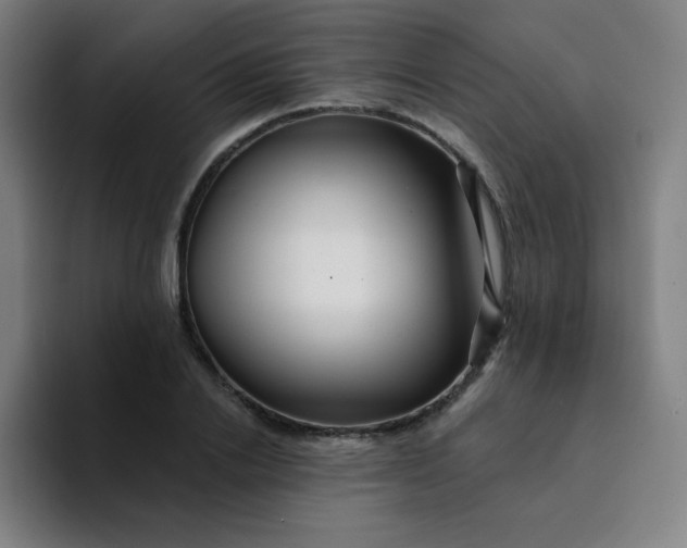X0000094380838200711162129