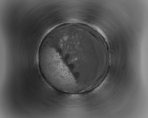 X0000094380839200711162129