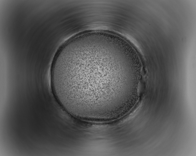 X0000094380840200711162129