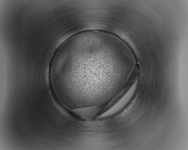 X0000094380842200711162129