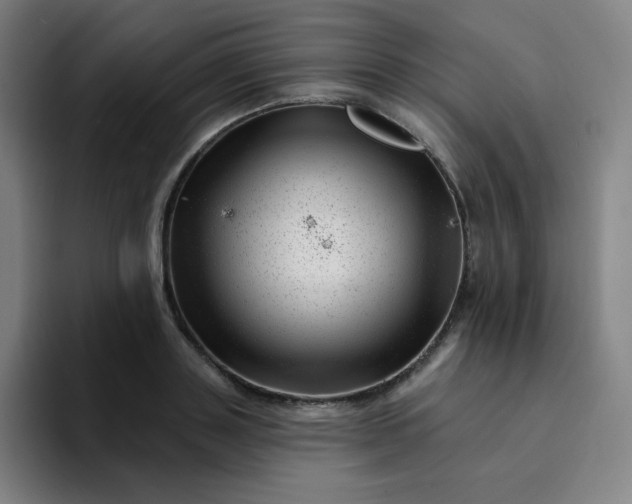 X0000094380843200711162129