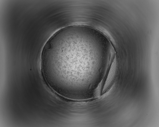 X0000094380844200711162129