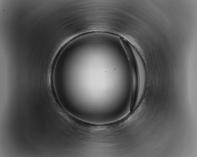 X0000094380846200711162129
