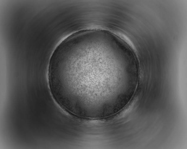 X0000094380847200711162129