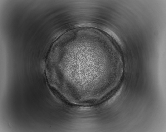 X0000094380849200711162129