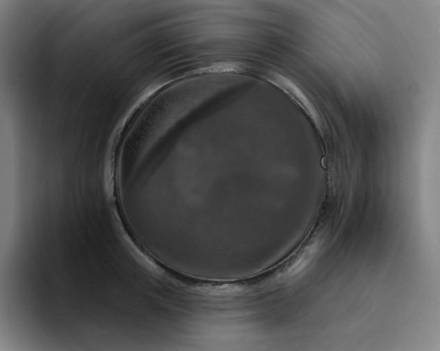 X0000094380851200711162129
