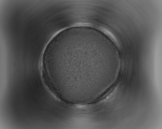 X0000094380852200711162129