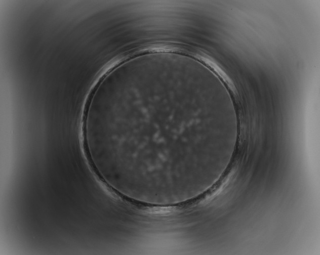 X0000094380853200711162129