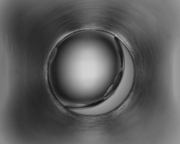 X0000094380854200711162129