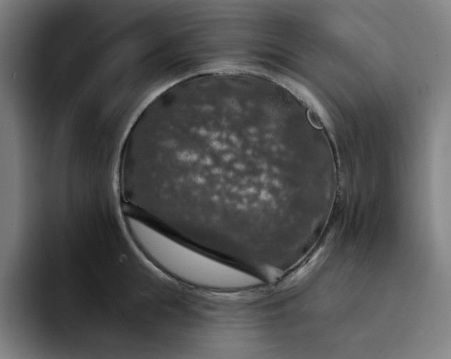 X0000094380855200711162129