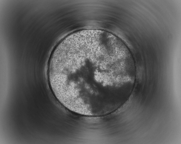 X0000094380856200711162129