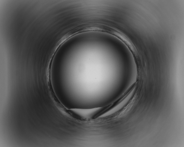 X0000094380858200711162129