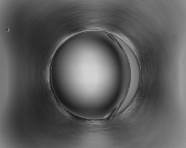 X0000094380862200711162129