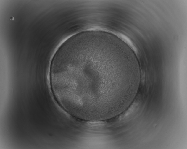 X0000094380863200711162129