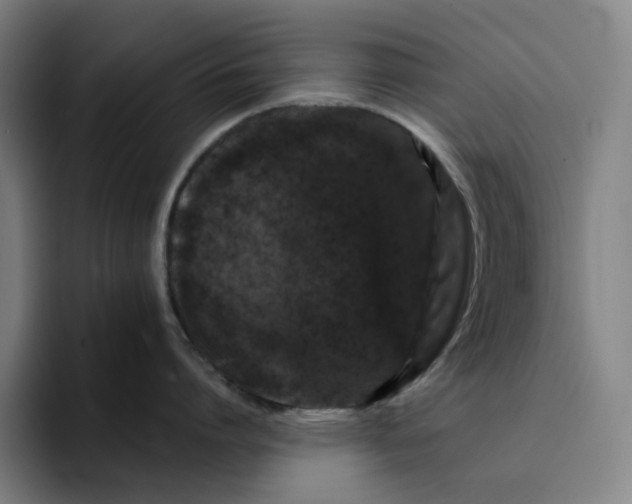X0000094380864200711162129