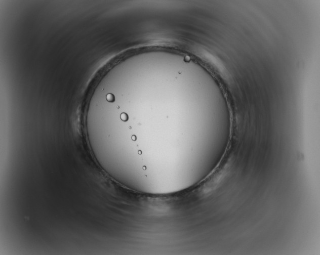 X0000094380875200711162128