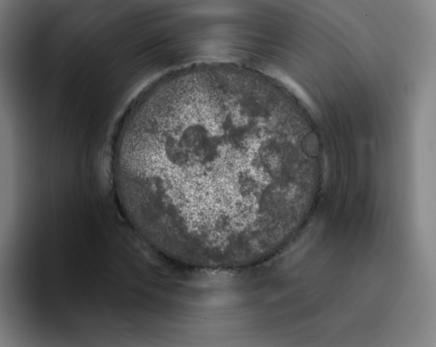 X0000094380878200711162128