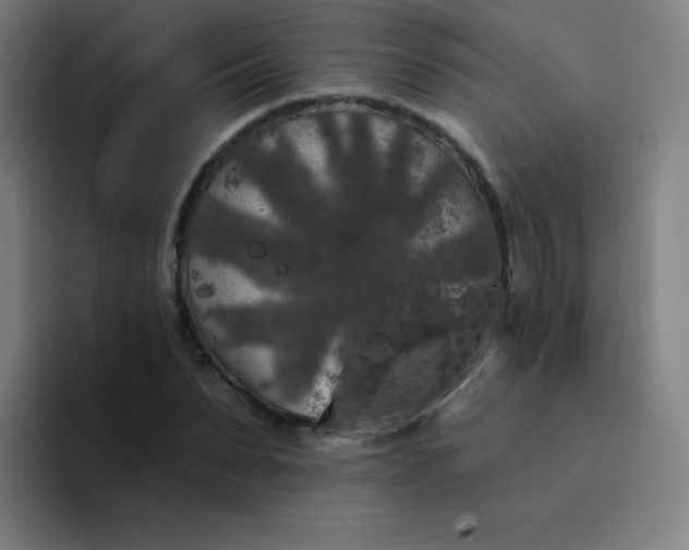 X0000094380879200711162128