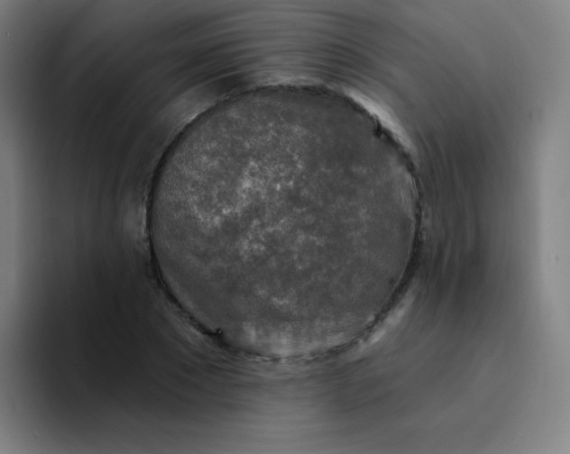 X0000094380881200711162128