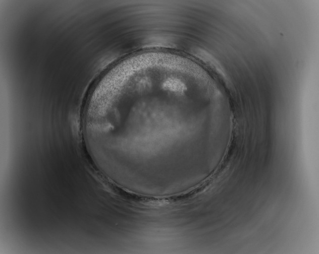 X0000094380882200711162128