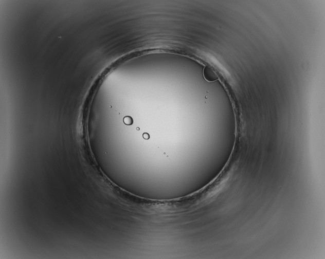 X0000094380883200711162128