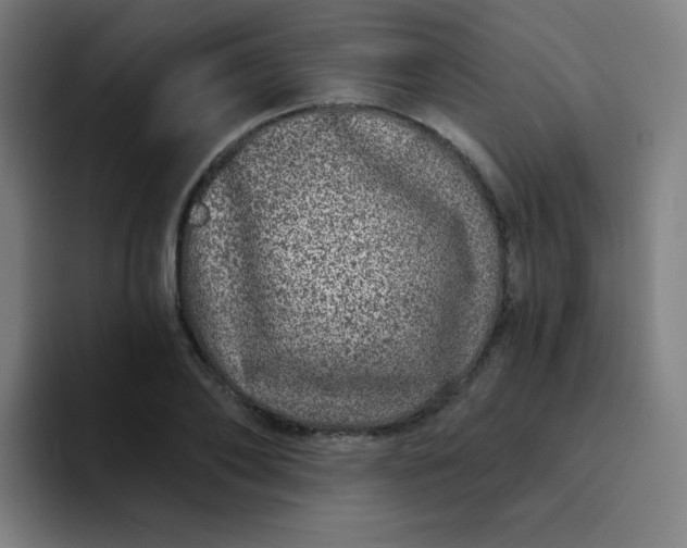 X0000094380886200711162128