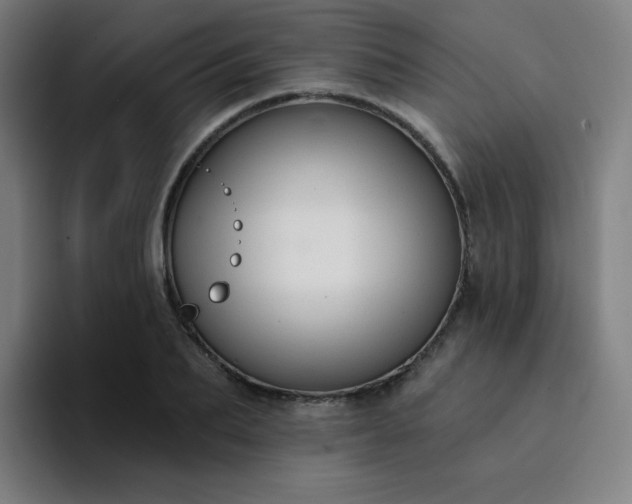X0000094380887200711162128