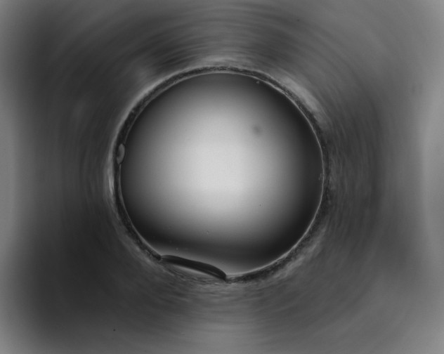 X0000094380888200711162128
