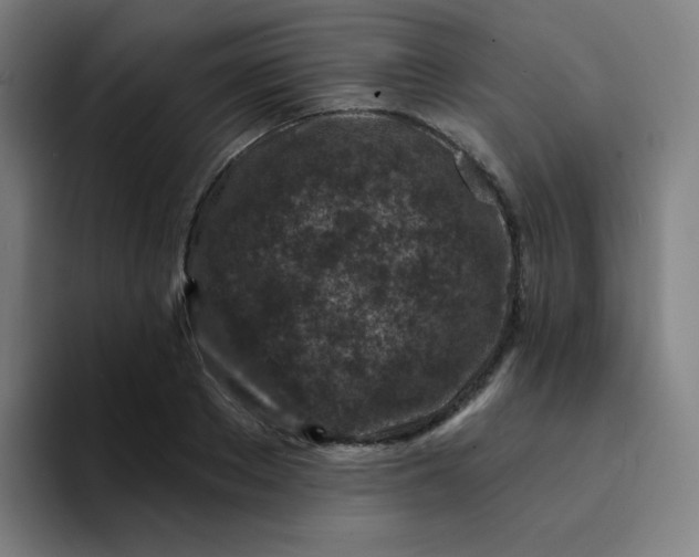 X0000094380889200711162128