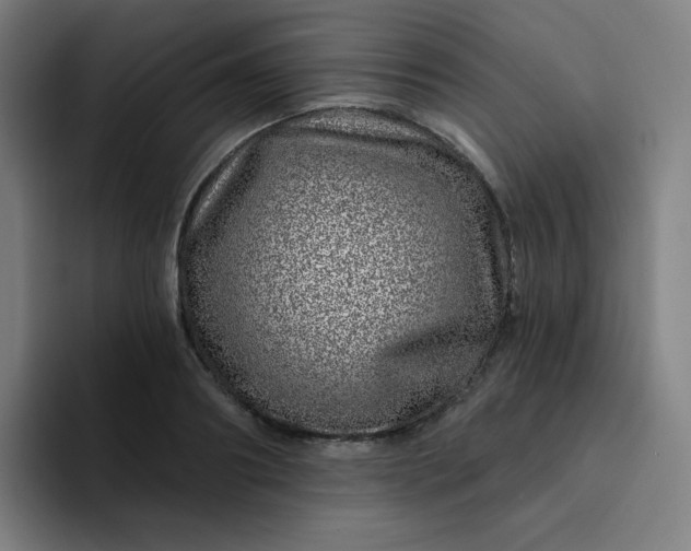X0000094380890200711162128