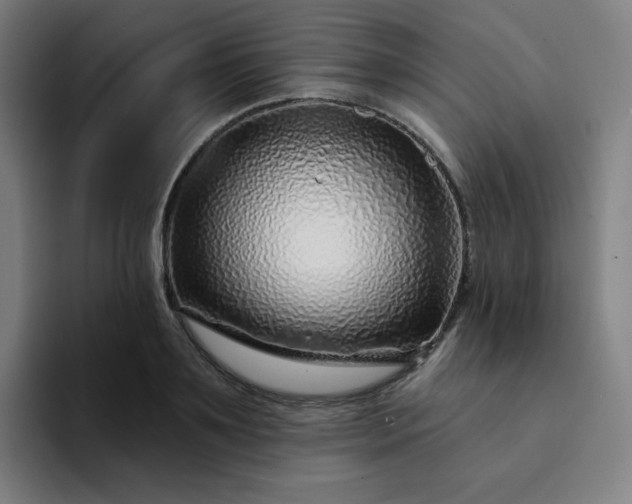 X0000094380891200711162128