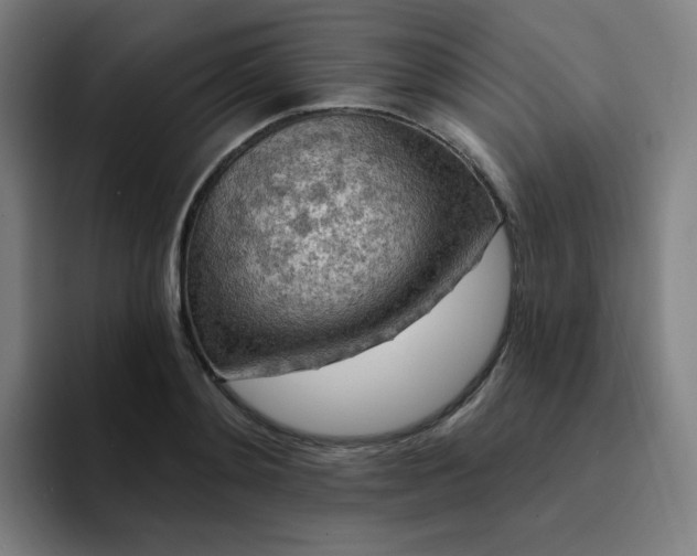 X0000094380892200711162128