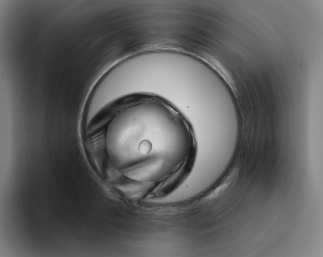 X0000094380893200711162128