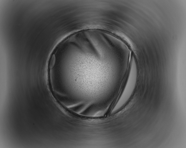 X0000094380894200711162128