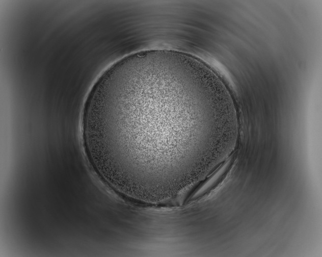 X0000094380896200711162128