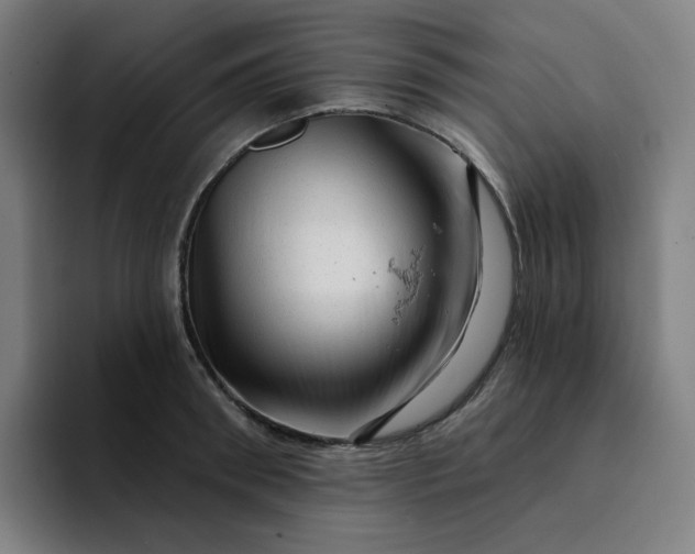 X0000094380898200711162128