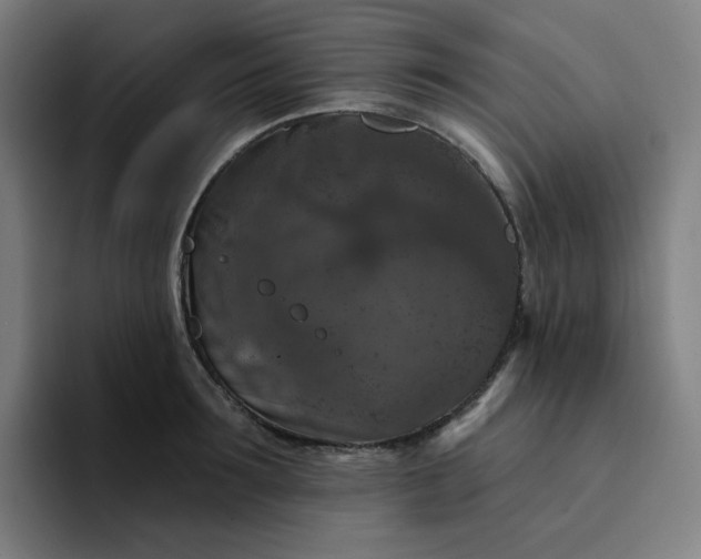 X0000094380899200711162128