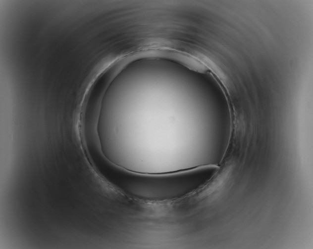 X0000094380901200711162128