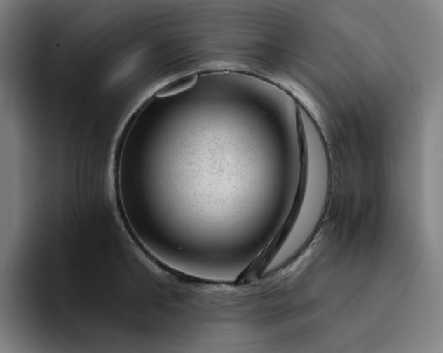 X0000094380902200711162128
