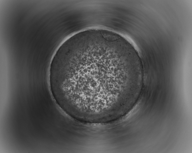 X0000094380903200711162128