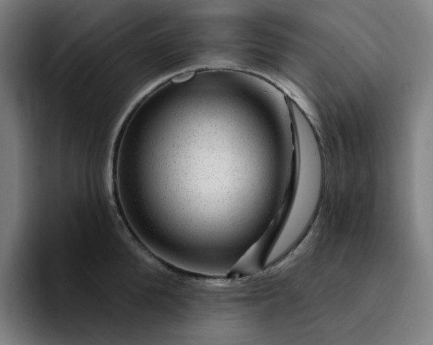 X0000094380904200711162128