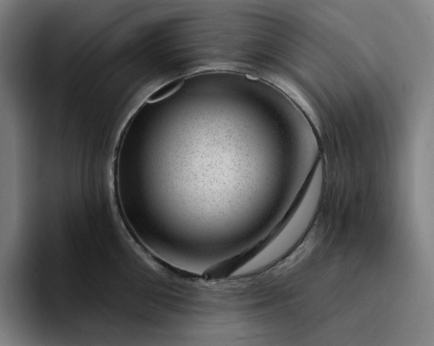 X0000094380906200711162128