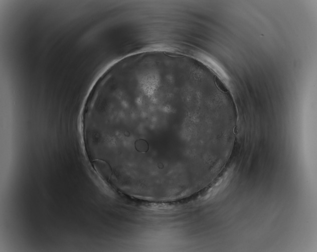 X0000094380907200711162128