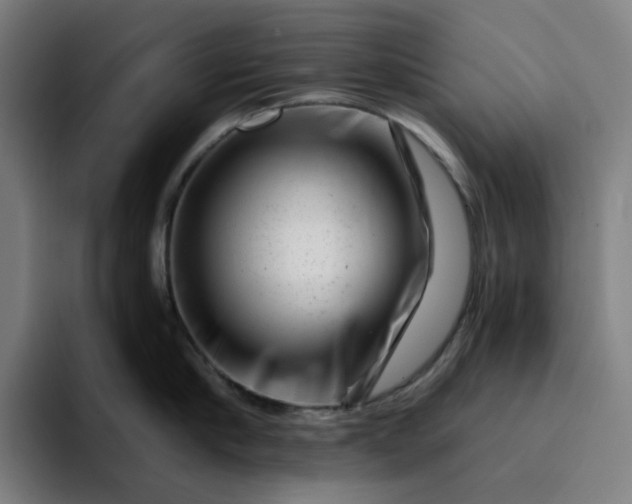 X0000094380910200711162128