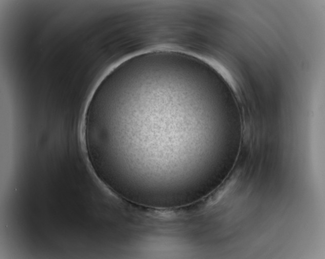 X0000094380911200711162128
