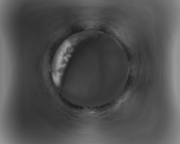 X0000094380913200711162127