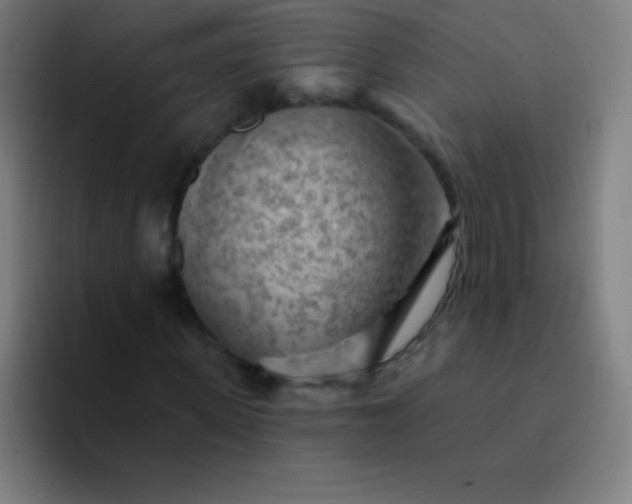 X0000094380915200711162127