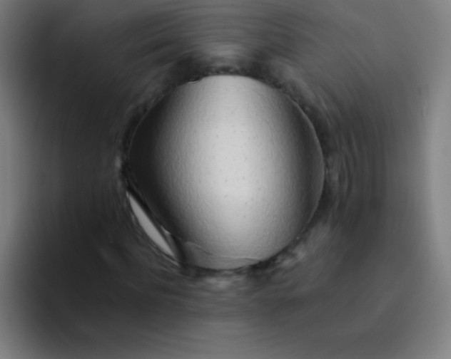 X0000094380916200711162127