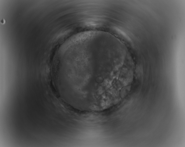X0000094380917200711162127