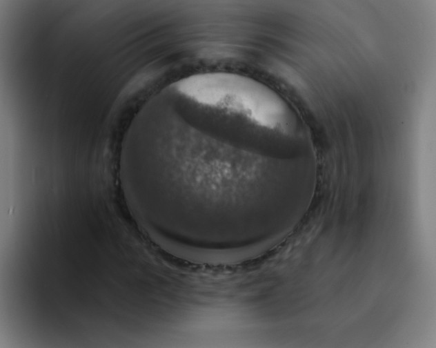 X0000094380919200711162127